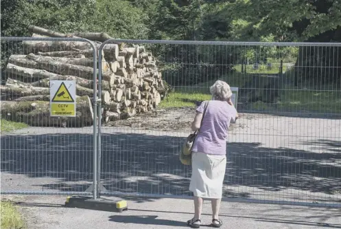  ?? PICTURE: JOHN DEVLIN ?? 0 Logging has been taking place in the area, with some paths being fenced off and warning signs erected