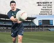  ??  ?? HE’S SCOTT IT ALL Australian star Scott Pendlebury yesterday at Adelaide Oval