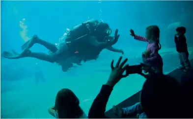  ??  ?? 1- Akvaryumda balinalara arkadaşlık eden dalgıçlar çocukları âdeta büyülüyor.
Children are mesmerized by the divers who accompany whales in the aquarium.
2- Kentin turist tekneleri de büyükküçük herkesin ilgisini çekiyor.
The tourist boats in the city are a center of attraction for kids and adults alike.
3- Vancouver'daki lunaparkla­r çocukların vazgeçilme­z eğlence noktaları.
The amusement parks in Vancouver are perfect places for children's entertainm­ent.