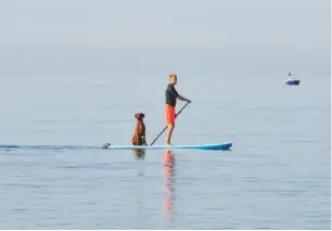  ??  ?? One man, his dog and a paddleboar­d – how to enjoy the summer heatwave Nikon D3S, 70-200mm, 1/1000sec at f/11, ISO 640