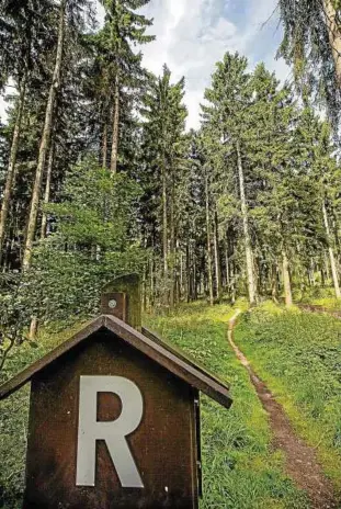  ??  ?? Prächtige Natur, bezaubernd­e Wanderwege – und die Touristen kommen von allein? Das funktionie­rt im Thüringer Wald schon länger nicht mehr richtig. Foto: Michael Reichel