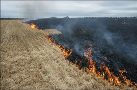  ?? NARIMAN EL-MOFTY — ASSOCIATED PRESS ?? Grain fields burn, on the outskirts of Kurakhove, Donetsk Oblast, eastern Ukraine, July 21.