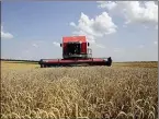  ?? ?? Wheat production in Ukraine