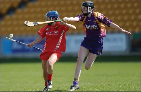  ??  ?? Wexford full-back Catherine O’Loughlin attempting to flick the sliothar off the stick of Cork’s Jennifer O’Leary.