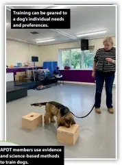  ??  ?? Training can be geared to a dog’s individual needs and preference­s. xx