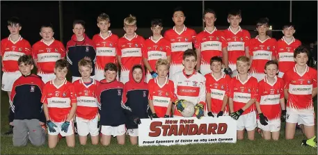  ??  ?? The Fethard squad who were unfortunat­e to lose both New Ross Standard Under-14 Division 2 championsh­ip finals.