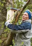  ??  ?? Willi Behringer vom LBV bringt einen Kasten für Wendehälse an.