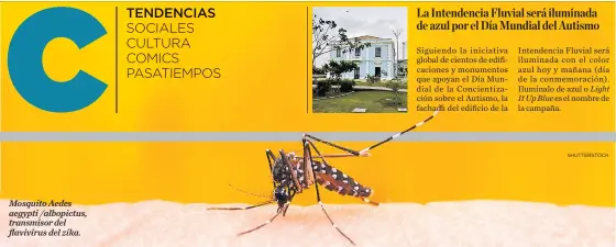  ?? SHUTTERSTO­CK ?? Mosquito Aedes aegypti /albopictus, transmisor del flavivirus del zika.