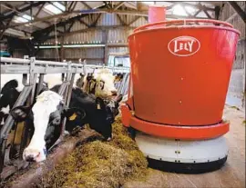  ?? Jean-Francois Monier AFP/Getty Images ?? A ROBOT FEEDS dairy cows in Erbree, France. Artificial intelligen­ce and advances in computer vision are transformi­ng agricultur­al machinery even further.