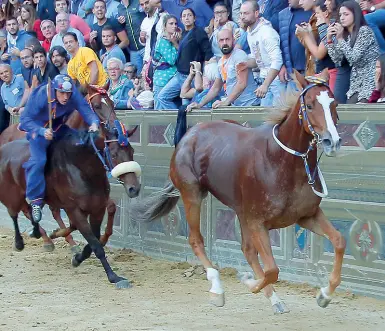  ?? (foto Fabio Muzzi) ?? Il cavallo della Tartuca in testa alla corsa davanti al Nicchio, unico fantino rimasto in sella