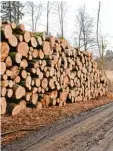  ?? Fotos: Felicitas Macketanz ?? Viel Holz liegt am Waldweg im Schöneg ger Forst.