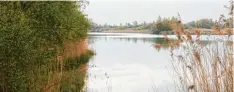  ?? Archivbild: Bissinger ?? Das Bild trügt ein wenig – nicht immer war es so ruhig am Baggersee bei Hamlar. So gar ein Theaterstü­ck zu den „Nackerten“wurde aufgeführt.