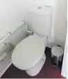  ?? ?? The new flushing toilet.
