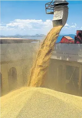  ?? (LA VOZ) ?? Verano. Hasta febrero, China se focalizará en la soja argentina.