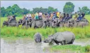  ?? PTI ?? The Uttarakhan­d forest department has declared it’ll soon come up with guidelines for elephant safaris in buffer areas of reserves.