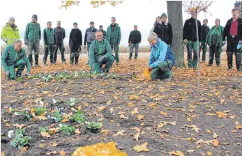  ?? FOTOS: SIG ?? Rund 10 000 Stiefmütte­rchen werden vom Gärtnertea­m gepflanzt.