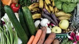  ??  ?? “Nuestro sistema alimentari­o no estuvo golpeado por la pandemia, no se paralizó, pero en algunos puntos se generaron desperdici­os”, recalcó experta de la FAO.
