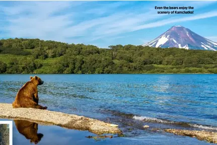  ??  ?? Even the bears enjoy the scenery of Kamchatka!