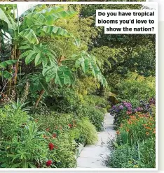  ??  ?? Do you have tropical blooms you’d love to show the nation?