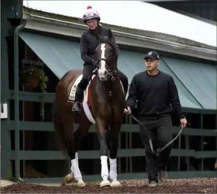  ?? WILL NEWTON - THE ASSOCIATED PRESS ?? Preakness contender War of Will, with exercise rider Kim Carroll aboard, is led out of the barn, Tuesday, May 14, 2019, at Pimlico Race Course in Baltimore. The Preakness Stakes horse race is scheduled to take place Saturday, May 18.