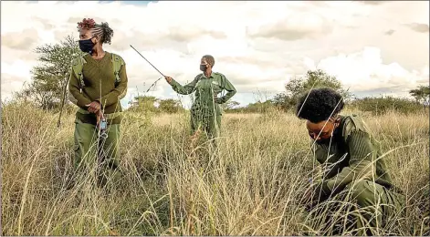  ??  ?? Members of Team Lioness, an all-female unit of community rangers supported by the Internatio­nal Fund for Animal Welfare, on patrol in the Olgulului Ololarashi Group Ranch in Kajiado Country, Kenya. — The Washington Post photos