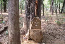  ??  ?? Deity in the newly establishe­d sacred grove of Mendha (Lekha)