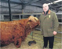  ?? Picture: Kevin McGlynn. ?? Gordon McConachie, president of the Highland Cattle Society, at the spring show of pedigree Highland cattle at Oban livestock market.
