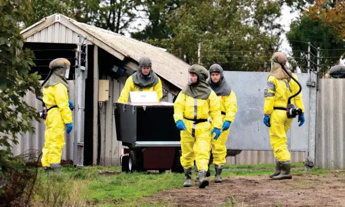  ?? Photograph: Henning Bagger/Ritzau Scanpix/AFP/Getty Images ?? Danish Veterinary and Food Administra­tion and the Danish Emergency Management Agency workers arrive to start killing mink in Gjøl, Denmark.