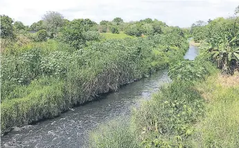  ??  ?? AFLUENTE. El azolvamien­to del río Chotepe provoca que en invierno sus aguas amenacen con saltar los bordos de protección. Con la limpieza, el riesgo de inundacion­es será mínimo.