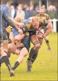  ??  ?? A try from captain Alex Salt (pictured in a previous game) wasn’t enough to secure a win for Hinckley. Picture by Steve Wells