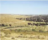  ?? MICHELE CHABIN, USA TODAY ?? The greenbelt of trees at the edge of Israel’s Negev Desert helps prevent soil erosion and flooding.