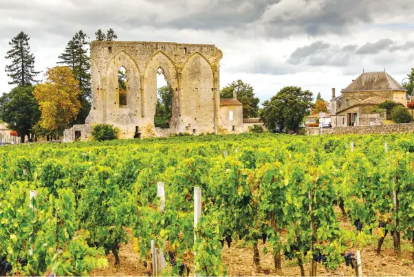  ??  ?? Above: Vineyards at the ruins of Les Cordeliers church, Saint-Émilion, Bordeaux. Opposite page: Touring a wine cellar at Château du Taillan winery in Médoc, exploring citadel ruins along the Gironde estuary, taking in an aerial view of the town and port of Pauillac