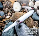  ??  ?? Needlefish are used in strong headwinds