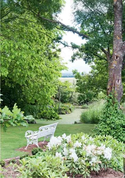  ??  ?? THIS PAGE A seat with a view of the pond; the soil is quite limey, which is not ideal for rhododendr­ons, so Anita has been encouraged by the one in the foreground, which is flowering well after being mulched with plenty of pine needles.OPPOSITE (clockwise from top) After Anita’s stroke, she began working on this garden, removing coloured plants and bringing it back to the green and white palette favoured by the original owner. Ducks nest among the yellow irises in the spring-fed pond. The longflower­ing banksia rose climbs a tree; in the foreground is a collection of hostas.