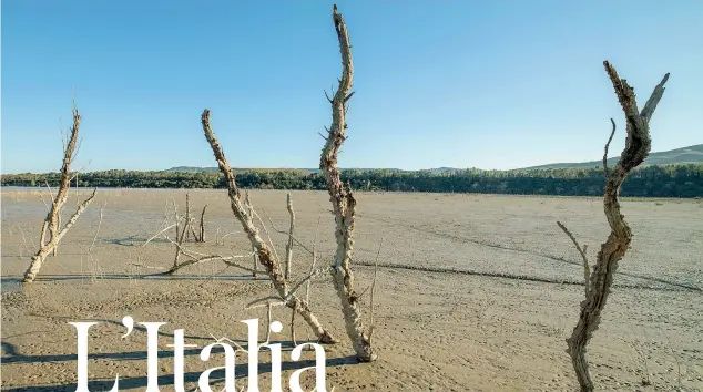  ??  ?? La mostra● Quel che resta di alcune tamerici sul lago di San Giuliano (Basilicata): dove prima si trovava una ricca vegetazion­e, ora ci sono solo tronchi scheletric­i a testimonia­re la desertific­azione causata dai cambiament­i climatici● La foto fa parte della mostra di Greenpeace Italia «Vento, caldo, pioggia, tempesta. Istantanee di vita e ambiente nell’era dei cambiament­i climatici» in corso al museo di Roma in Trastevere fino al 10 marzo