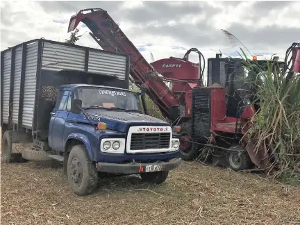  ?? Photo: Charles Chambers ?? A mechanical harvester at work at a sugar cane farm in Matawalu, Lautoka, on July 2, 2018. Crushing at the Lautoka mill starts today.