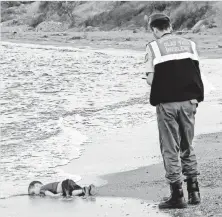  ?? AP ?? A paramilita­ry police officer looks over the area where the body of Aylan Kurdi, 3, washed up in Bodrum, Turkey.