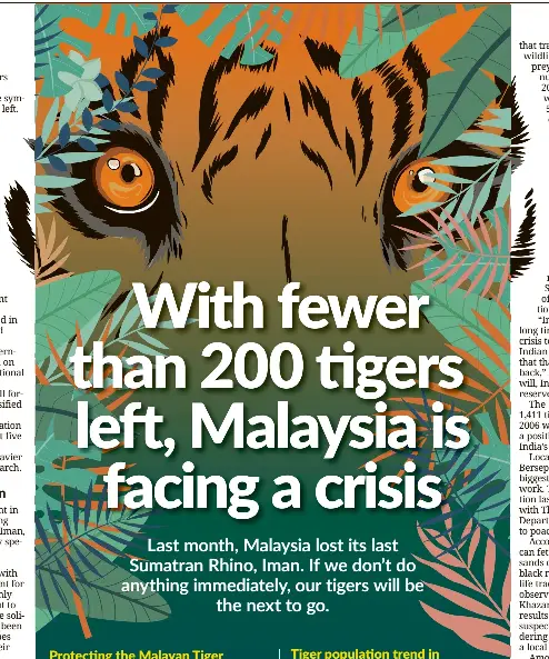 With fewer than 200 tigers left, Malaysia is facing a crisis - PressReader
