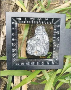  ?? PETER JENNISKENS / THE SETI INSTITUTE VIA THE NEW YORK TIMES ?? An astronomer at the SETI Institute in California shows a fragment of a rare meteorite that fell near Berlin on Jan. 21. An early analysis indicates the meteorite is an aubrite, a class with unknown origins that some scientists argue may be pieces of the planet Mercury.