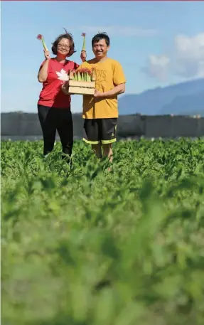  ??  ?? 自稱不是人生勝利組的­郭怡君，與先生種植水果玉米與­玉米筍，闖出一條務農勝於上班­的路（上圖）。來自苗栗的退休教師李­元和，成功以民間力量修復古­蹟（右上圖）。