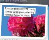  ?? ?? Exoplanet HD 100777 b was named Laligurans, after the national flower of Nepal