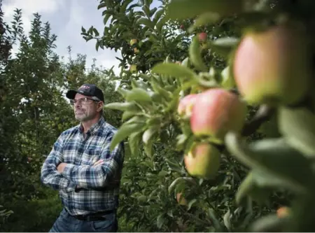  ?? PETER POWER/FOR THE TORONTO STAR ?? "We try to hire locally first and foremost,” farmer Murray Porteous says. “But it’s just not the type of work that young people aspire to do.”