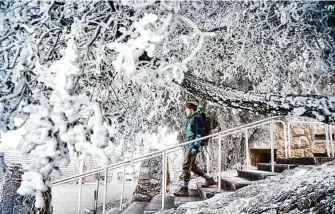  ?? Noah Berger/Special to The Chronicle ?? Seth McNaught walks under frost-covered trees at the Mount Diablo State Park Summit Visitor Center in Contra Costa County last week. McNaught hiked from the mountain’s base to see snow.
