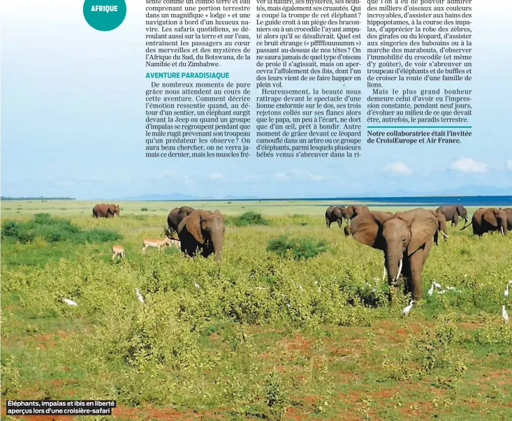  ??  ?? Éléphants, impalas et ibis en liberté aperçus lors d’une croisière-safari