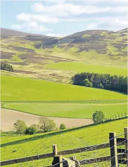  ??  ?? Scottish land values are predicted to remain stable, according to the report by Savills. Picture: Getty Images.