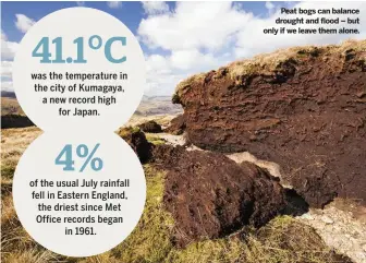  ??  ?? Peat bogs can balance drought and flood – but only if we leave them alone.