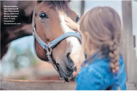  ?? Foto: © Julia Shepeleva/ Shuttersto­ck.com ?? Teures Hobby: Die Unterkunft fürs Pferd kann bis zu 400 € im Monat kosten.