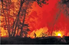  ?? JOSH EDELSON/AFP/GETTY IMAGES/TNS ?? A firefighte­r douses flames as they push toward homes during the Creek fire in the Cascadel Woods area of unincorpor­ated Madera County, California, on Sept. 7. A firework at a gender reveal party triggered a wildfire in southern California that has destroyed 7,000 acres and forced many residents to flee their homes.