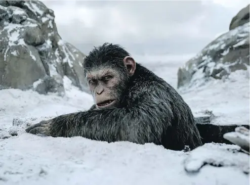  ?? PHOTOS: TWENTIETH CENTURY FOX VIA THE ASSOCIATED PRESS ?? War for the Planet of the Apes is the third in a rebooted storyline that started in 2011, and picks up not long after the events of the previous film.