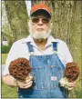 ?? Westside Eagle Observer/SUSAN HOLLAND ?? Don Runyan, of Gravette, displays a pair of large mushrooms he harvested Thursday, March 26, near the woods at the edge of his yard. The wrinkled, irregular cap hanging free from the stem and the reddish color identify them as false morels.